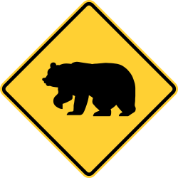 Bear Zone